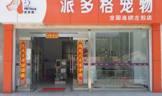 圣宠和派多格对比 派多格宠物用品商城